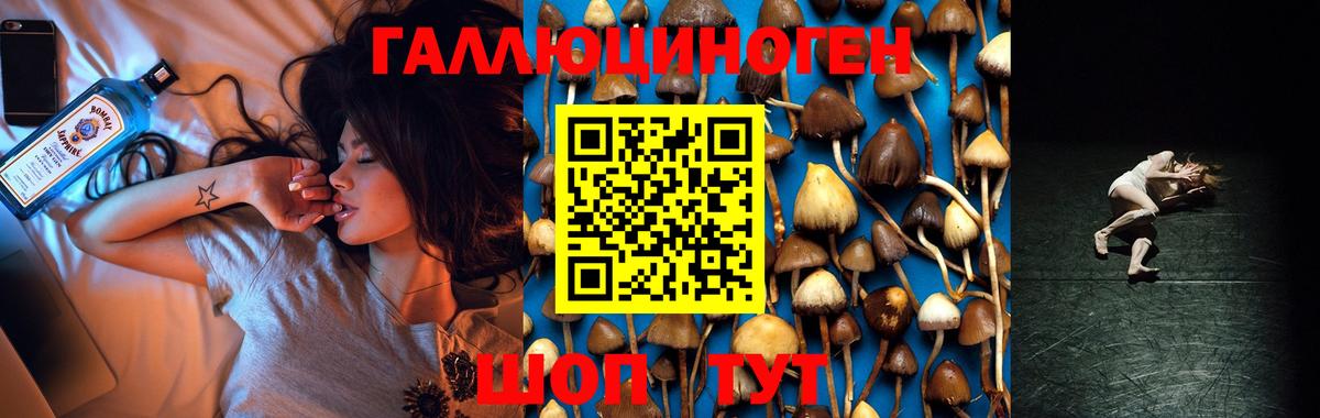 Галлюциногенные грибы GOLDEN TEACHER  Вход с VPN  как найти закладки  Кызыл 